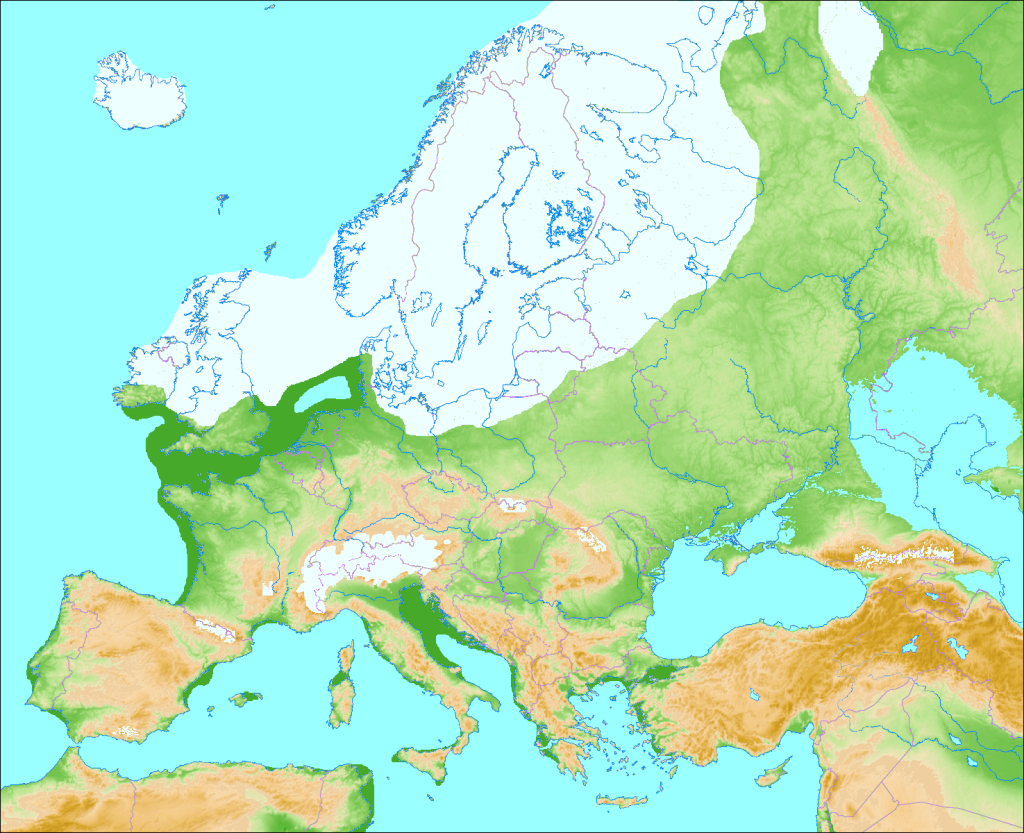Zasięg lądolodu fennoskandzkiego i lodowców górskich w Europie podczas ostatniego zlodowacenia. Ówczesny poziom oceanu był znacznie niższy niż obecnie, dlatego linia brzegowa Europy przebiegała inaczej. Autor: Ulamm, Wikimedia Commons, CC BY-SA 3.0