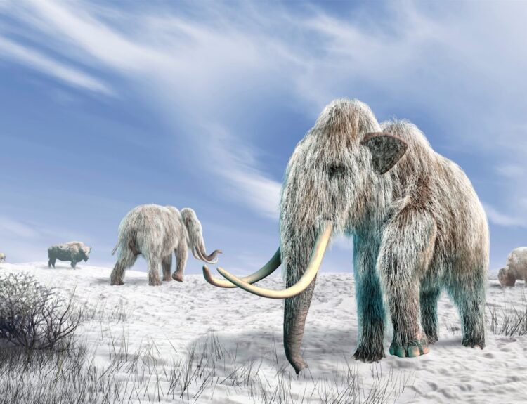 ilustracja mamutów
