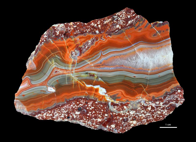 Fragment agatu litofizowego z Nowego Kościoła. Coll. Muzeum Geologiczne PIG-PIB. Fot. K. Skurczyńska-Garwolińska