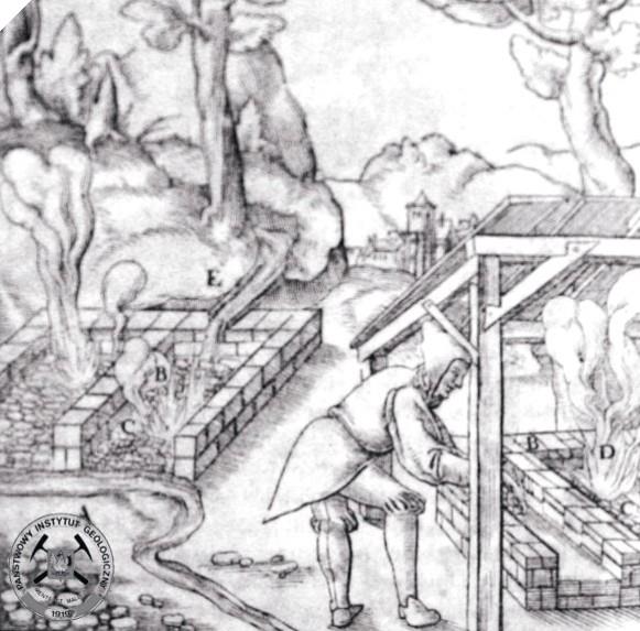 Rysunek Agricola