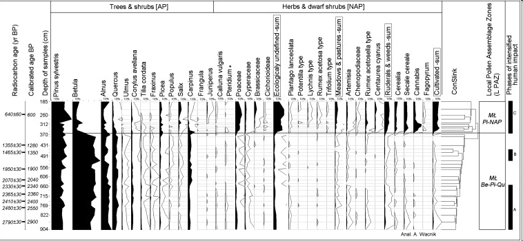 Diagram palinologiczny z jeziora Miłkowskie z wydzielonymi fazami wpływu człowieka (Madeja, J. et all. Integrated palynological and molecular analyses of late Holocene deposits fromLake Mi1kowskie (NE Poland): Verification of local human impact on environment. Quaternary International 220 (2010) 147–152)