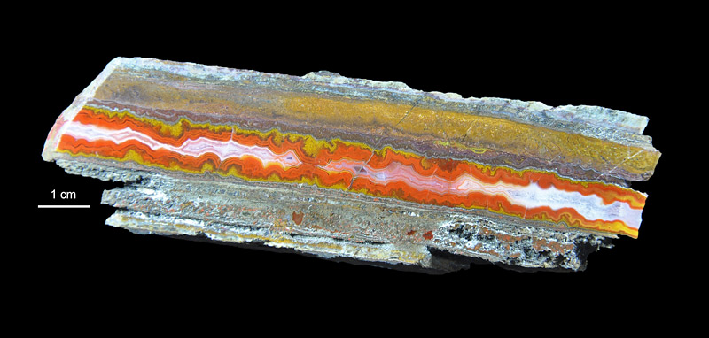 Agat szczelinowy z Przeździedzy. Coll. Muzeum Geologiczne PIG-PIB. Fot. K. Skurczyńska-Garwolińska