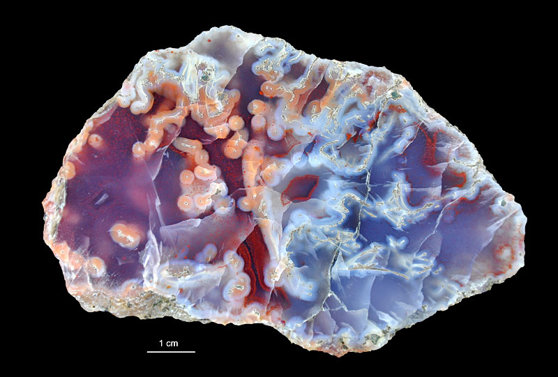Agat oczkowy z Płóczek Górnych. Coll. Muzeum Geologiczne PIG-PIB. Fot. K. Skurczyńska-Garwolińska