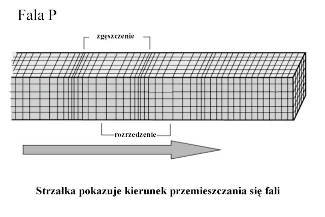 Fale sejsmiczne