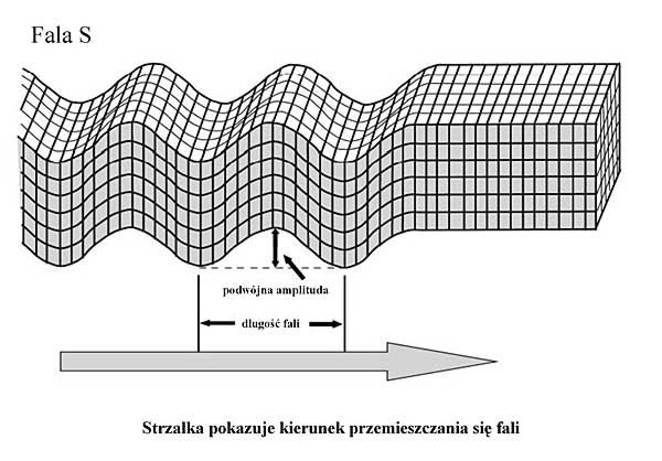 Fale poprzeczne (S)