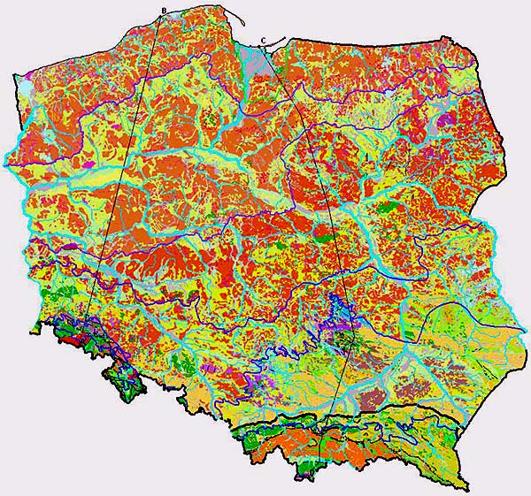 Mapa geologiczna Polski w skali 1 : 1 000 000 po usunięciu osadów czwartorzędowych. Źródło: Państwowy Instytut Geologiczny-PIB
