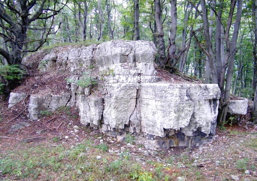 Ligocka Góra Kamienna. Fot. M. Markowiak
