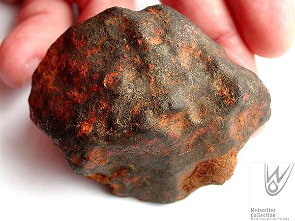 Podrdzewiały 138-gramowy fragment meteorytu Pułtusk z pozostałością skorupy obtopieniowej. Fot. Marek Woźniak i Jan Woreczko, Meteorites Collection, www.woreczko.pl