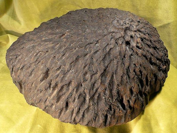 Meteoryt Baszkówka. Fot. Katarzyna Skurczyńska-Garwolińska