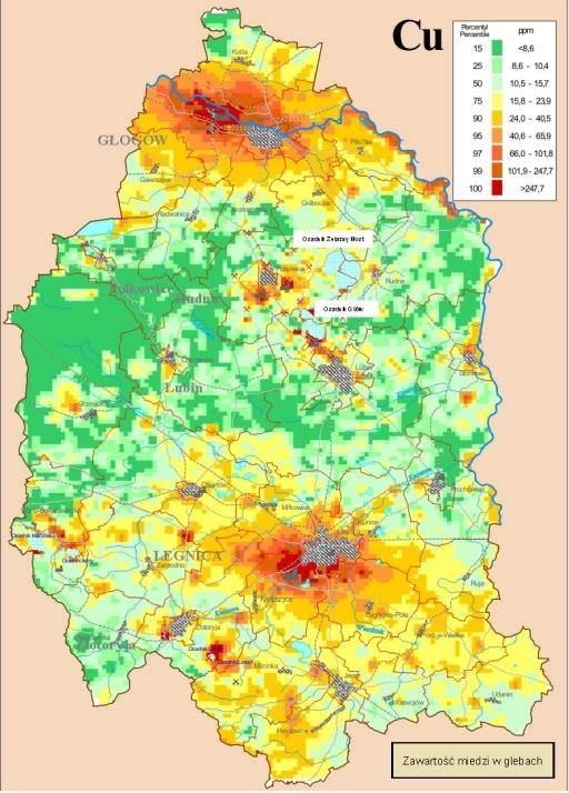 Zawartość miedzi w glebach LGOM