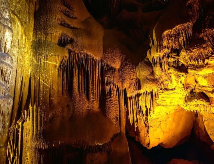 Wnętrze jaskini wypełnione stalaktytami i stalagmitami