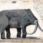 Rysunek mamuta
