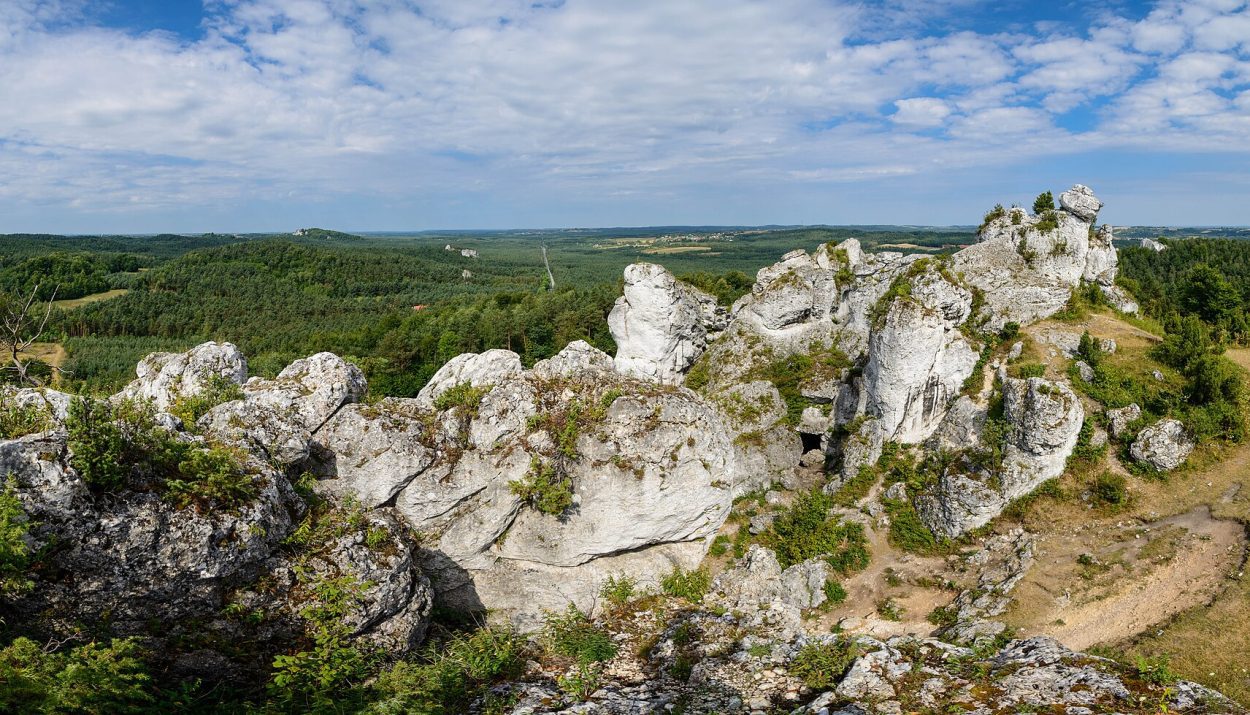 Rezerwat Góra Zborów