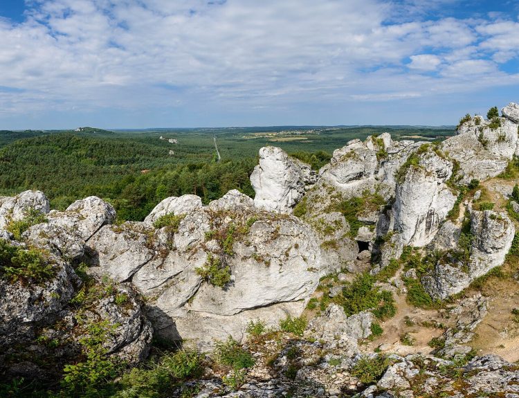 Rezerwat Góra Zborów