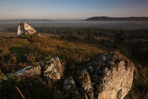 Ostańce na Grzędzie Mirowsko-Bobolickiej