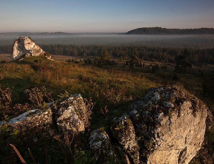 Ostańce na Grzędzie Mirowsko-Bobolickiej
