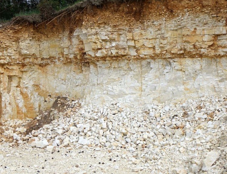 Kamieniołom Warszawski_DK85_(3)