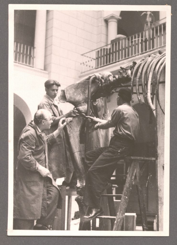 Składanie szkieletu mamuta