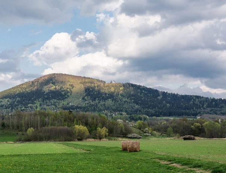 Masyw Śnieżnika