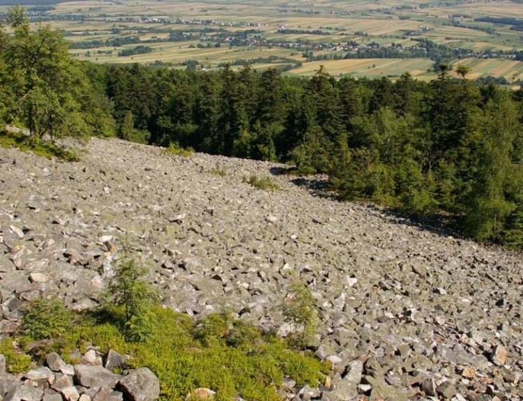 Gołoborza na Łysek Górze